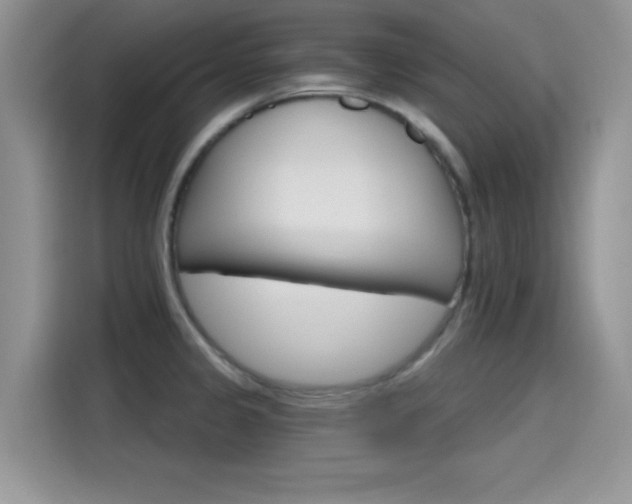 X0000115651333200911171435