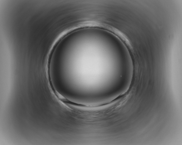 X0000115651334200911171435