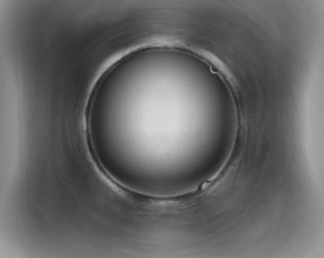 X0000115651335200911171435