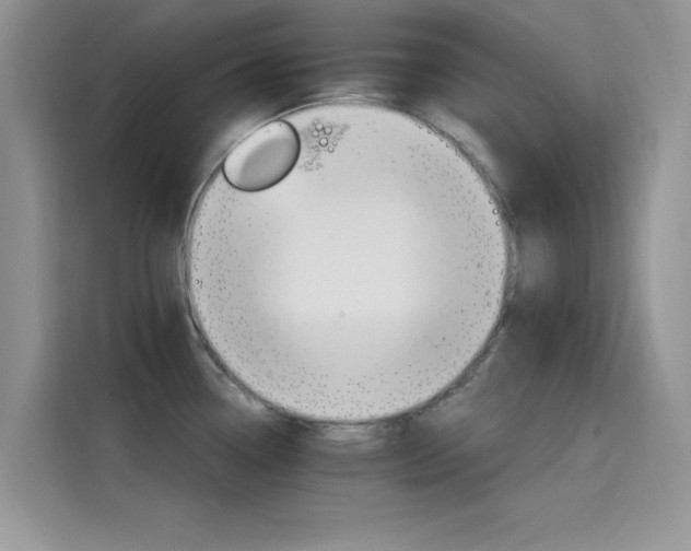 X0000115651338200911171435