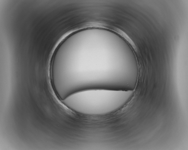 X0000115651339200911171435