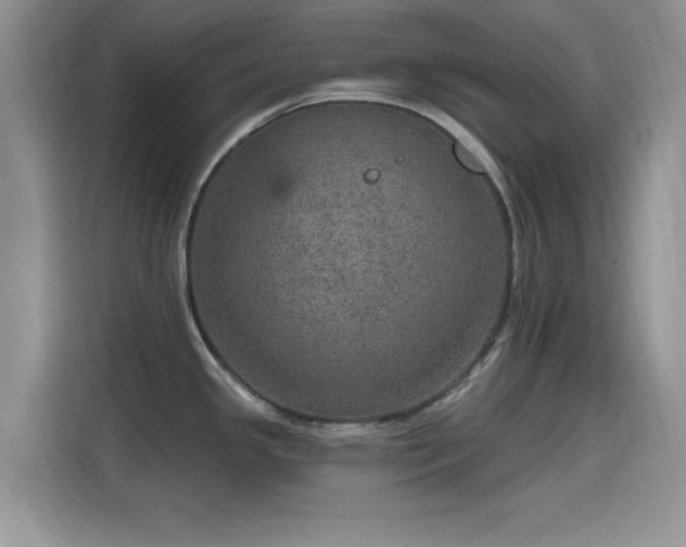 X0000115651341200911171435