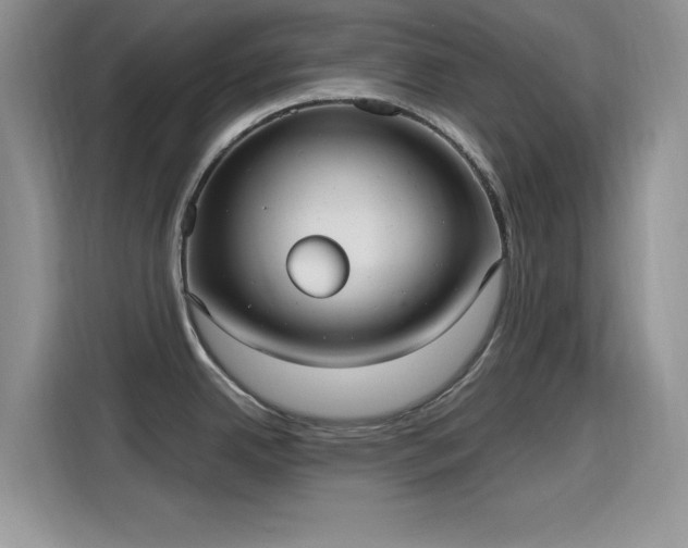 X0000115651342200911171435