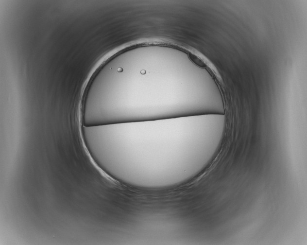 X0000115651343200911171435