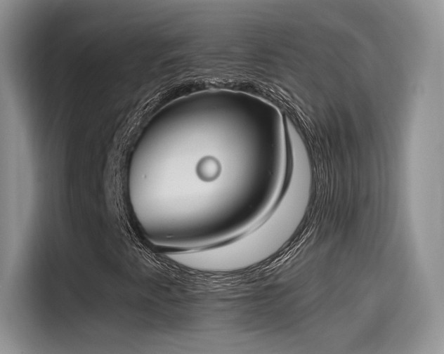 X0000115651345200911171434