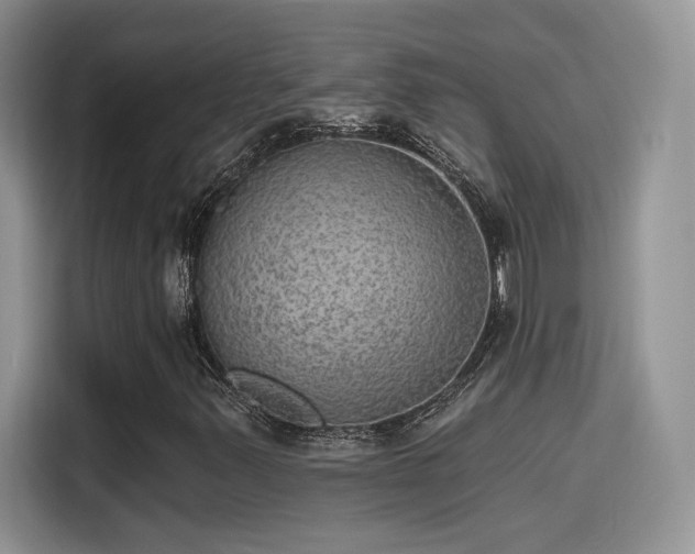 X0000115651347200911171434