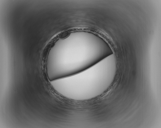 X0000115651352200911171434