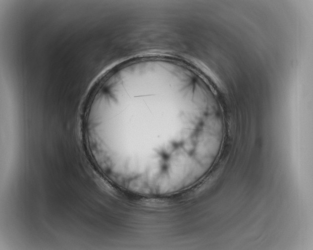 X0000115651356200911171434