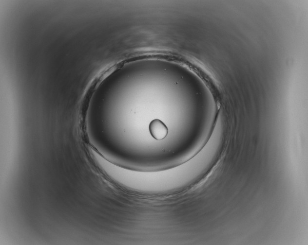 X0000115651357200911171434