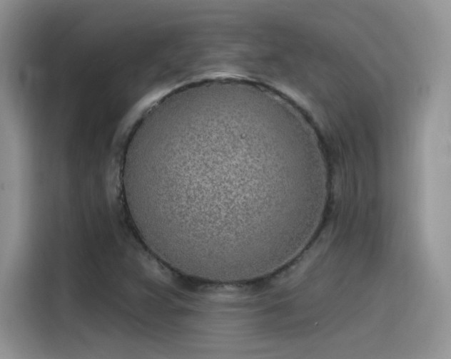 X0000115651359200911171434