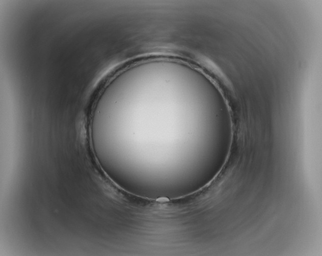 X0000115651360200911171434