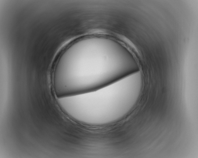 X0000115651364200911171434