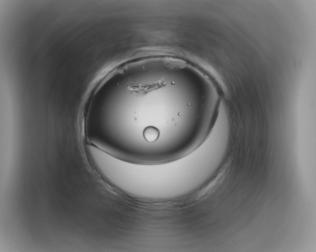 X0000115651365200911171434