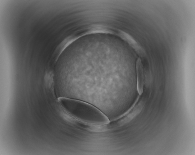 X0000115651369200911171434