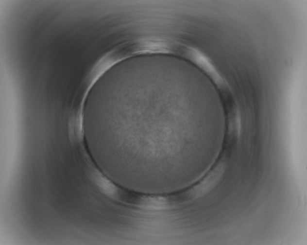 X0000115651370200911171434