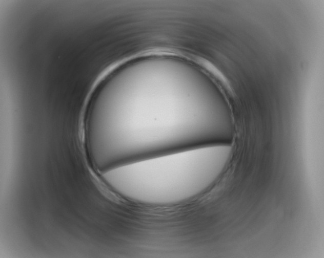 X0000115651372200911171434