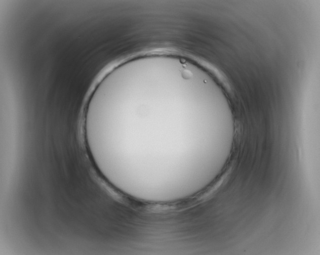 X0000115651374200911171434