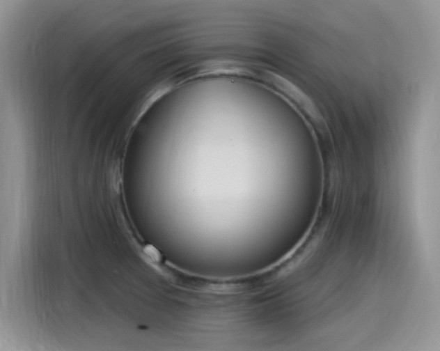 X0000115651377200911171434