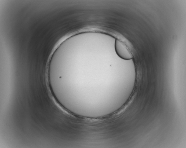 X0000115651382200911171434