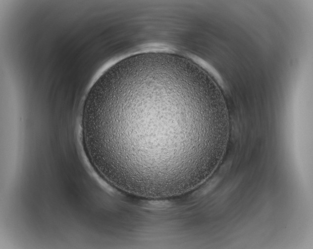 X0000115651383200911171434