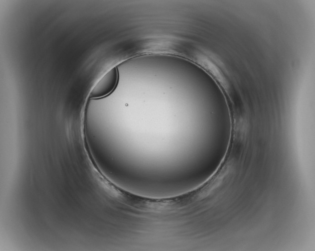 X0000115651386200911171434