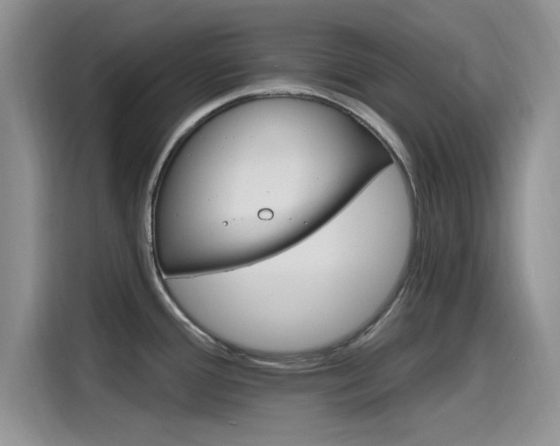 X0000115651388200911171434