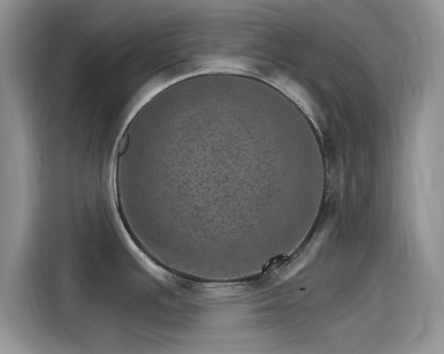 X0000115651391200911171434