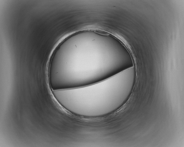 X0000115651392200911171434