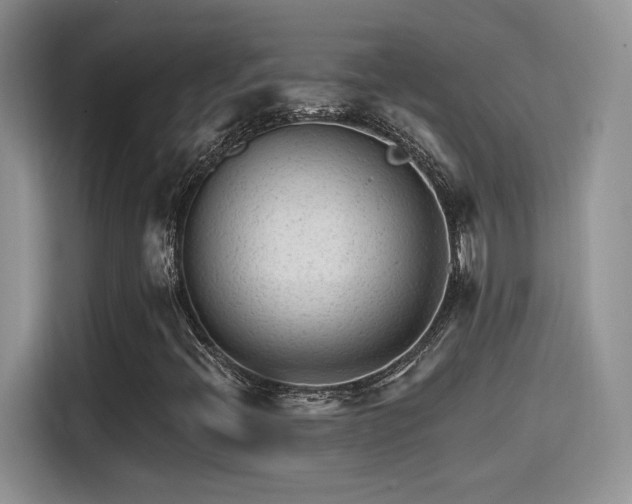 X0000115651396200911171433