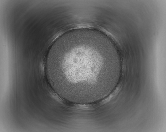 X0000115651401200911171433