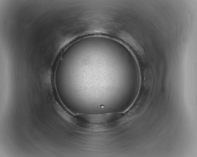 X0000115651404200911171433