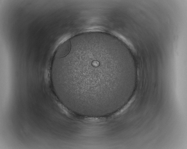 X0000115651405200911171433