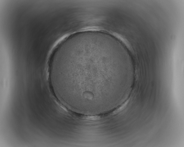 X0000115651406200911171433