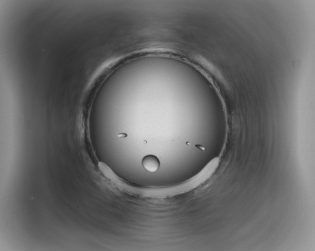 X0000115651408200911171433