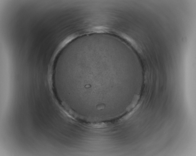 X0000115651410200911171433