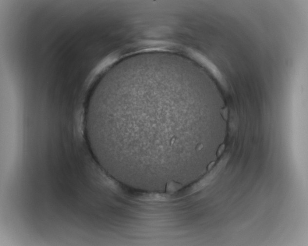 X0000115651411200911171433