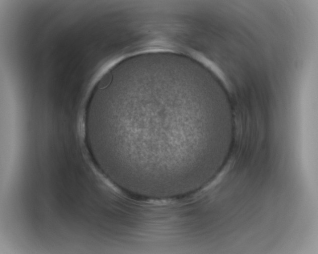 X0000115651415200911171433