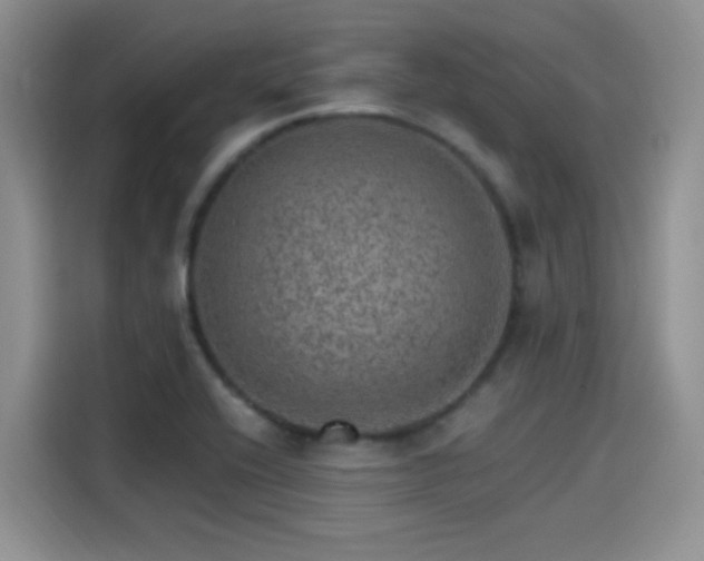 X0000115651416200911171433