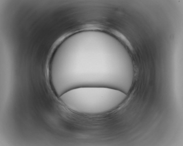 X0000115651419200911171433