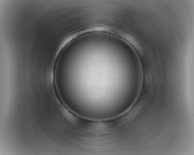 X0000115651420200911171433