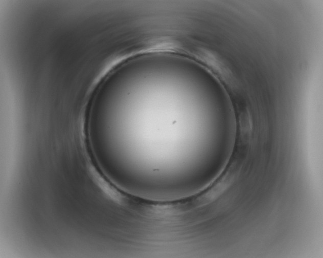 X0000115651422200911171433