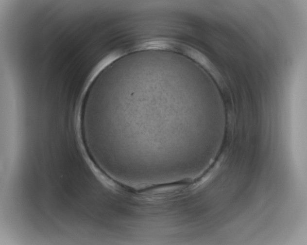 X0000115651426200911171433