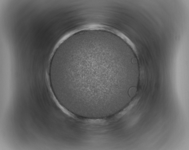 X0000115651429200911171433