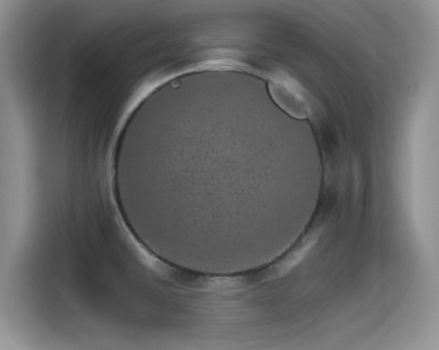 X0000115651430200911171433