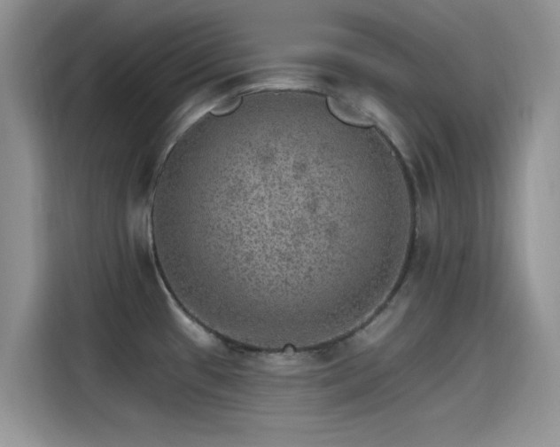 X0000115651433200911171433