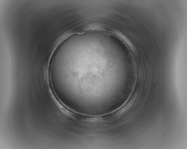 X0000115651434200911171433