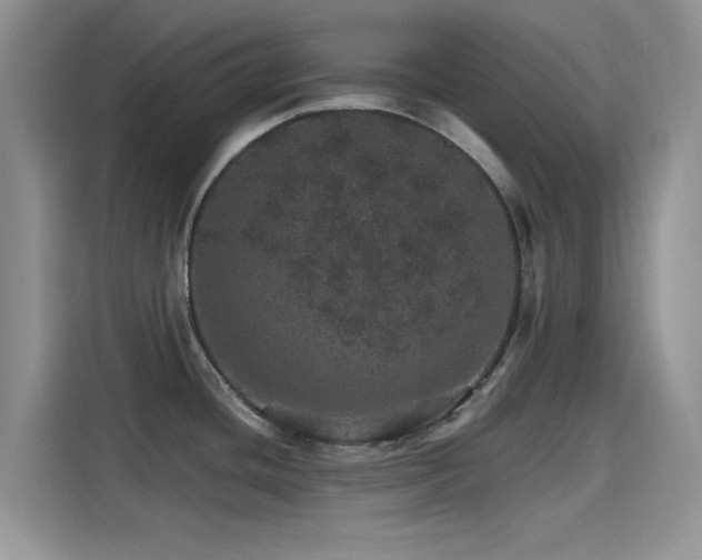 X0000115651436200911171433