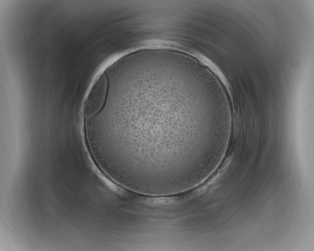 X0000115651437200911171433