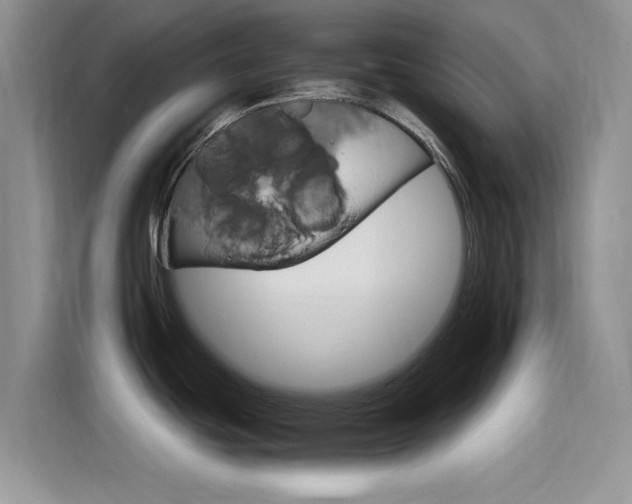 X0000115651439200911171434