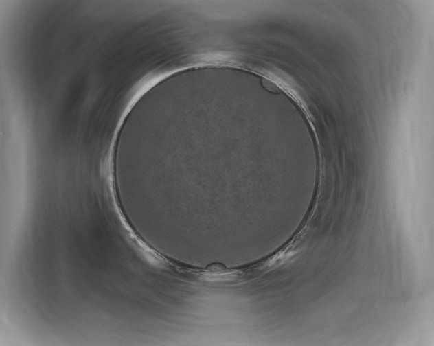 X0000115651440200911171434